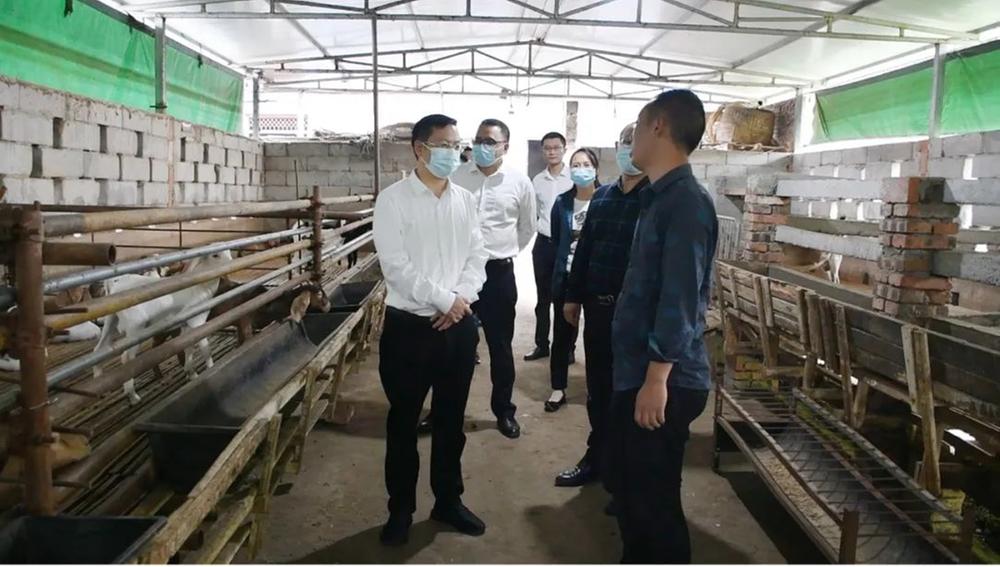 内江市市中区领导调研巩固拓展脱贫攻坚成果“回头看”及防返贫监测第二轮排查工作