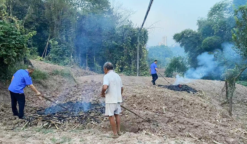 武胜县：禁烧秸秆  保卫蓝天