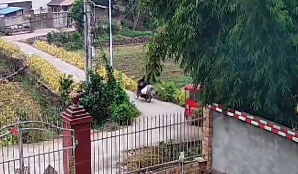 眉山天府公安：快破“小案件”，守护“大民生”