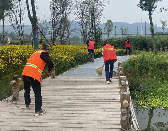 金岗村开展环境卫生整治活动