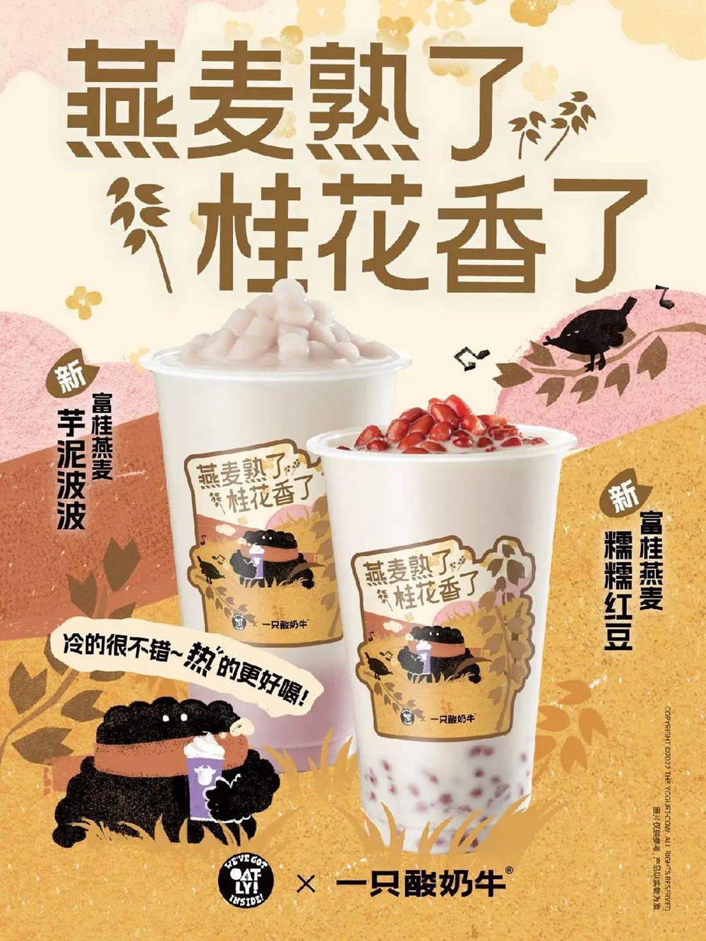 酸奶出圈的茶饮赛道“黑马”，“一只酸奶牛”做了什么 