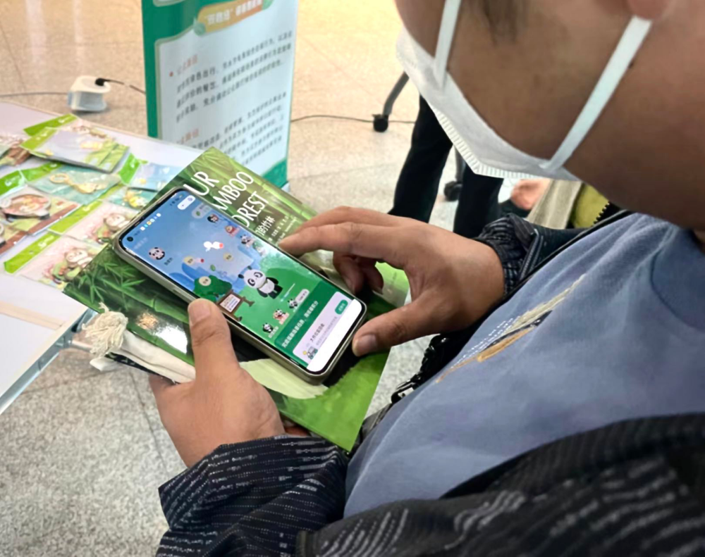 践行低碳生活 “碳惠天府”开展竹林“萌”主生存记活动