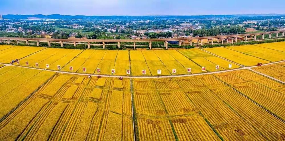眉山首个获世界性殊荣的灌溉工程诞生