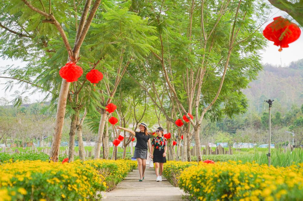 岳池县：国庆赏花火热  近郊游持续升温