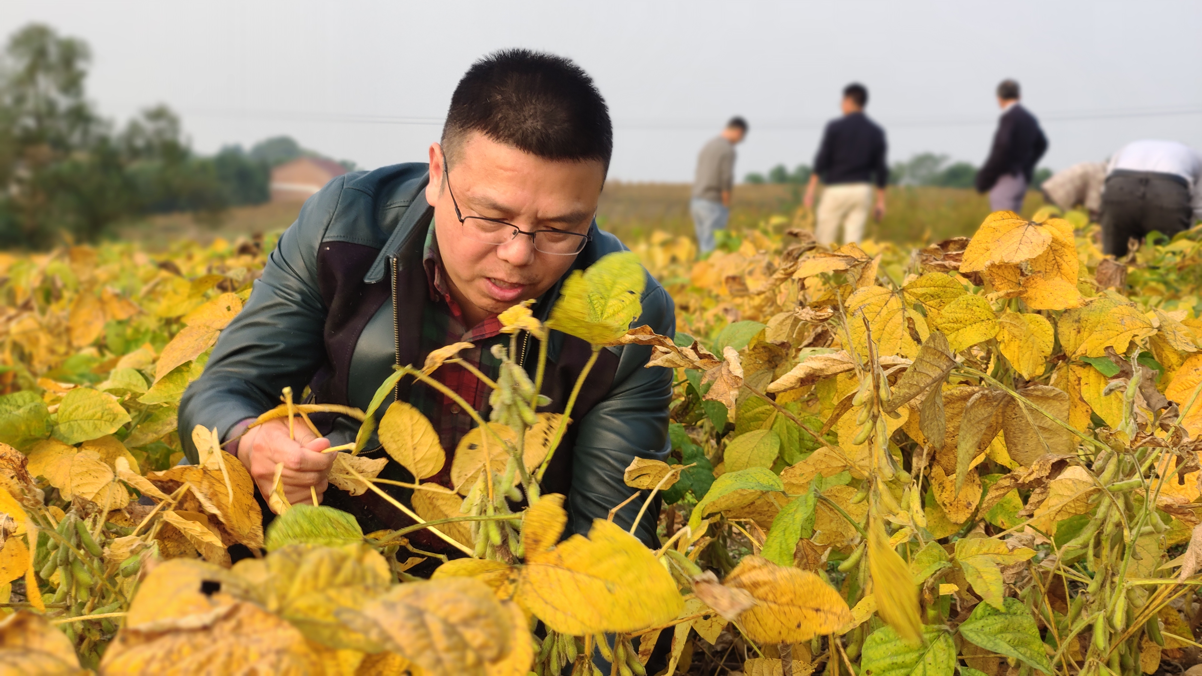 雍太文：笃行不怠，事皆有成