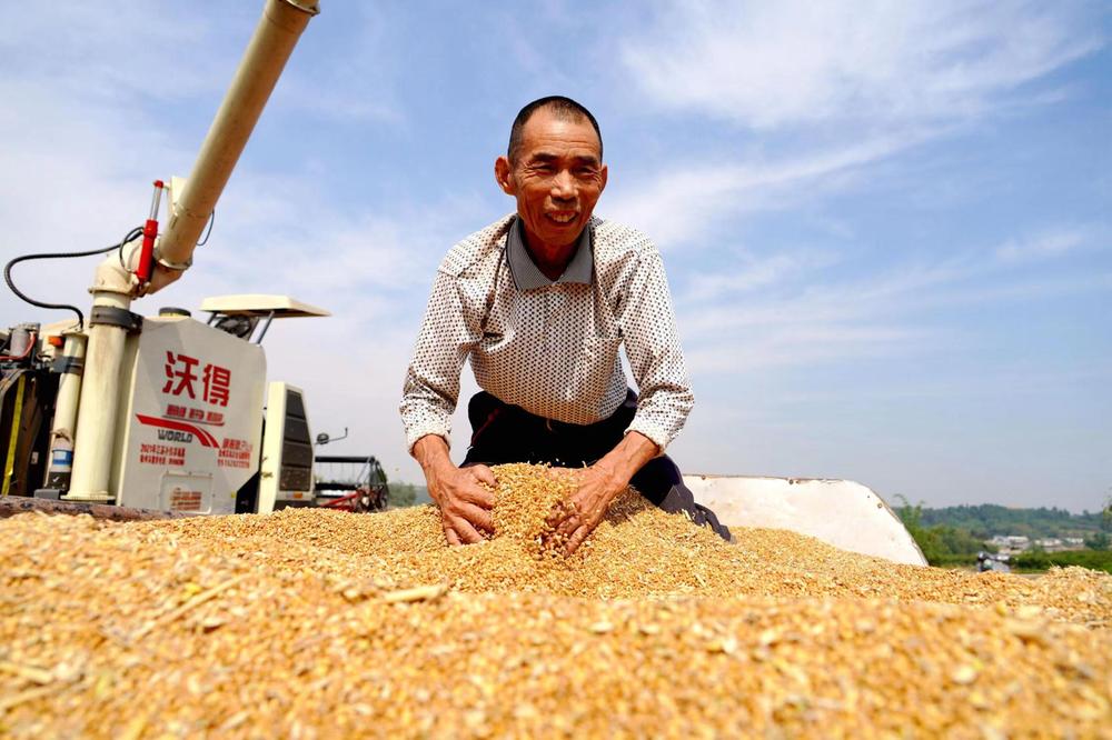 仁寿县打造新时代更高水平的“天府粮仓”