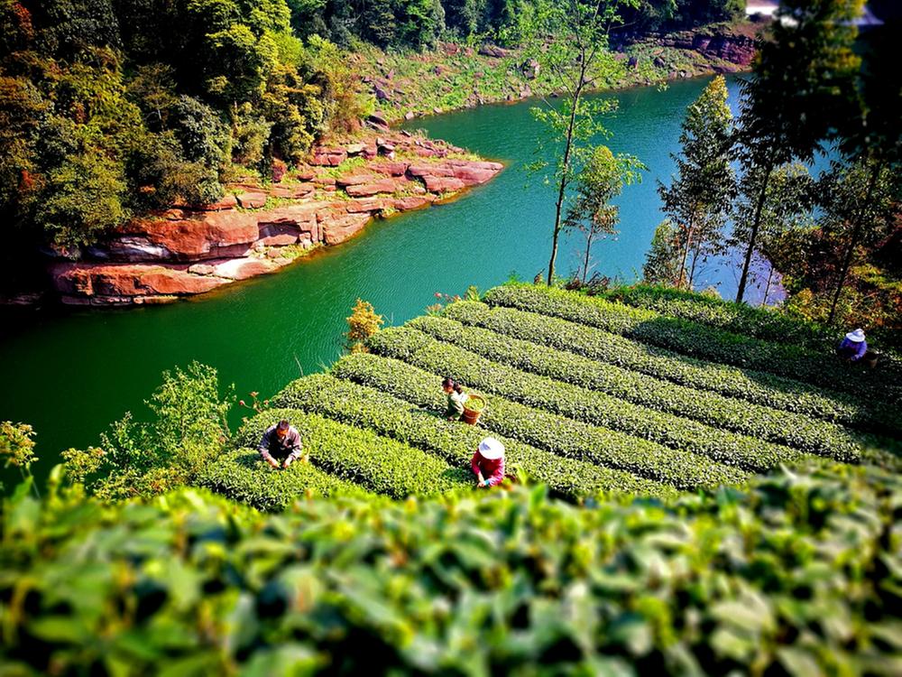 久久为功 丹棱县成功创建国家生态文明建设示范区