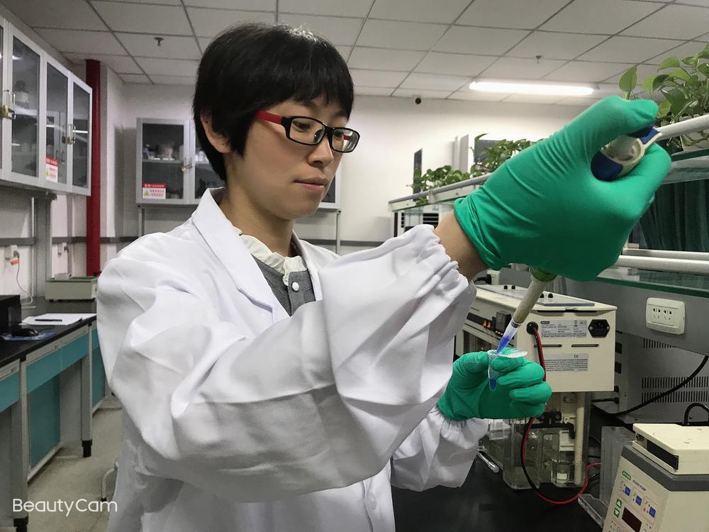 李地艳团队以卵泡颗粒细胞研究破解蛋鸡繁育之困