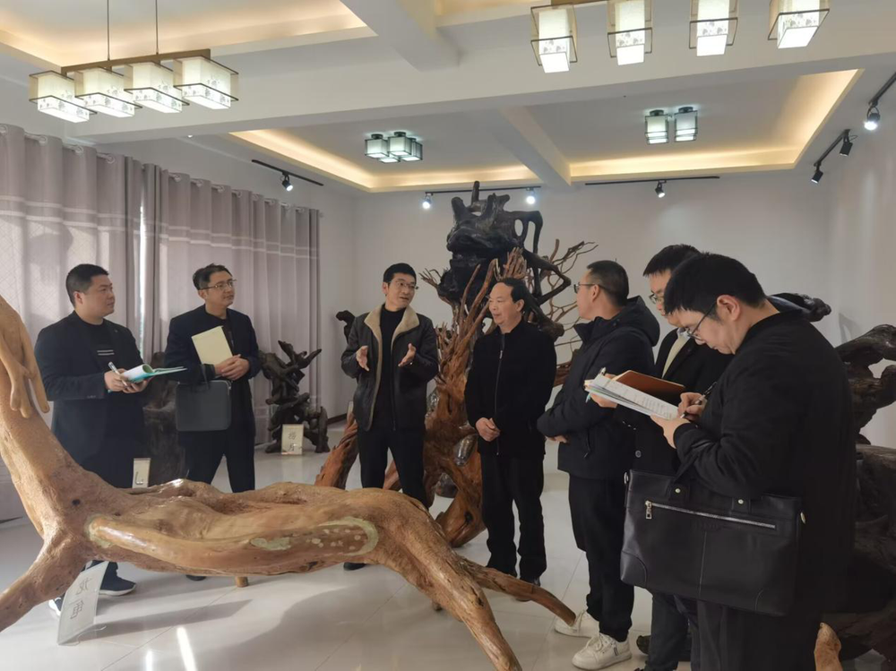 南江县赶场镇小学深研根雕艺术育人功能