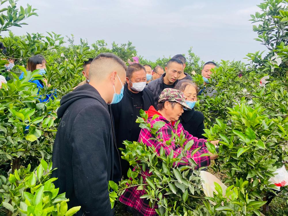 丹棱县加强高素质农民培育实训指导