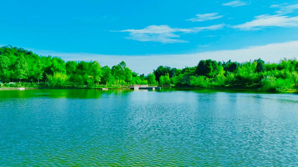 青神县：竹林湿地“才貌皆备”