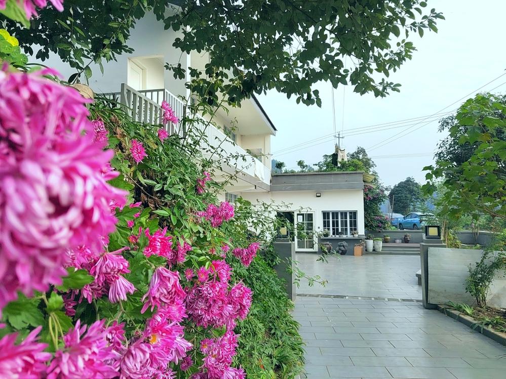 以考核促推动 青神县农村人居环境整治有成效