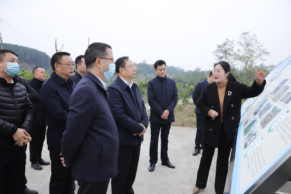 四川省生态环境厅党组副书记、副厅长李岳东到武胜县开展调研