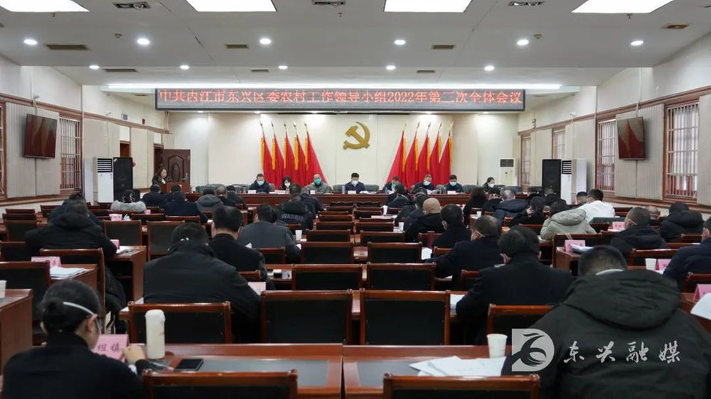 东兴区：建设宜居宜业和美乡村 擘画幸福美丽新画卷