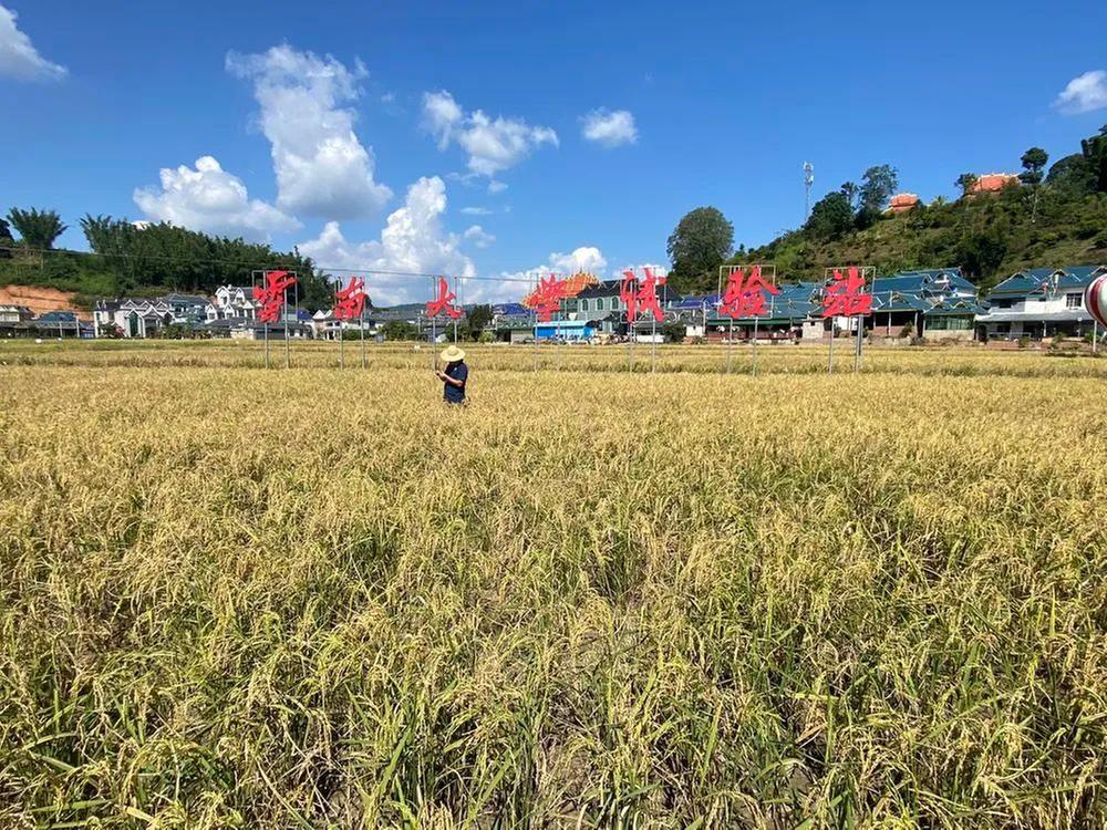 2022年国内十大科技新闻揭晓