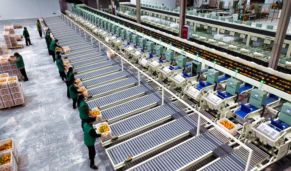 仁寿县：精准分选 冷链物流 智能化助推果业发展