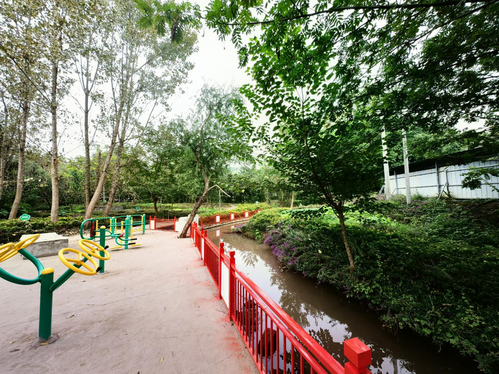 简阳市河道换新颜 惠民出实招