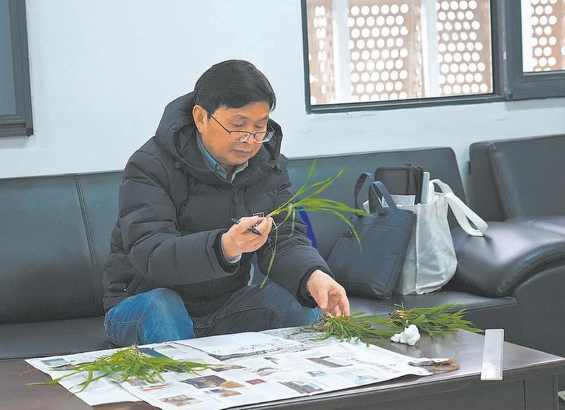 汤永禄：朝耕暮耘  “永”守麦田伟业