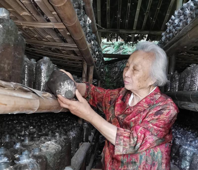 黄文培：毕生耕耘 满山荒地变“黄金”