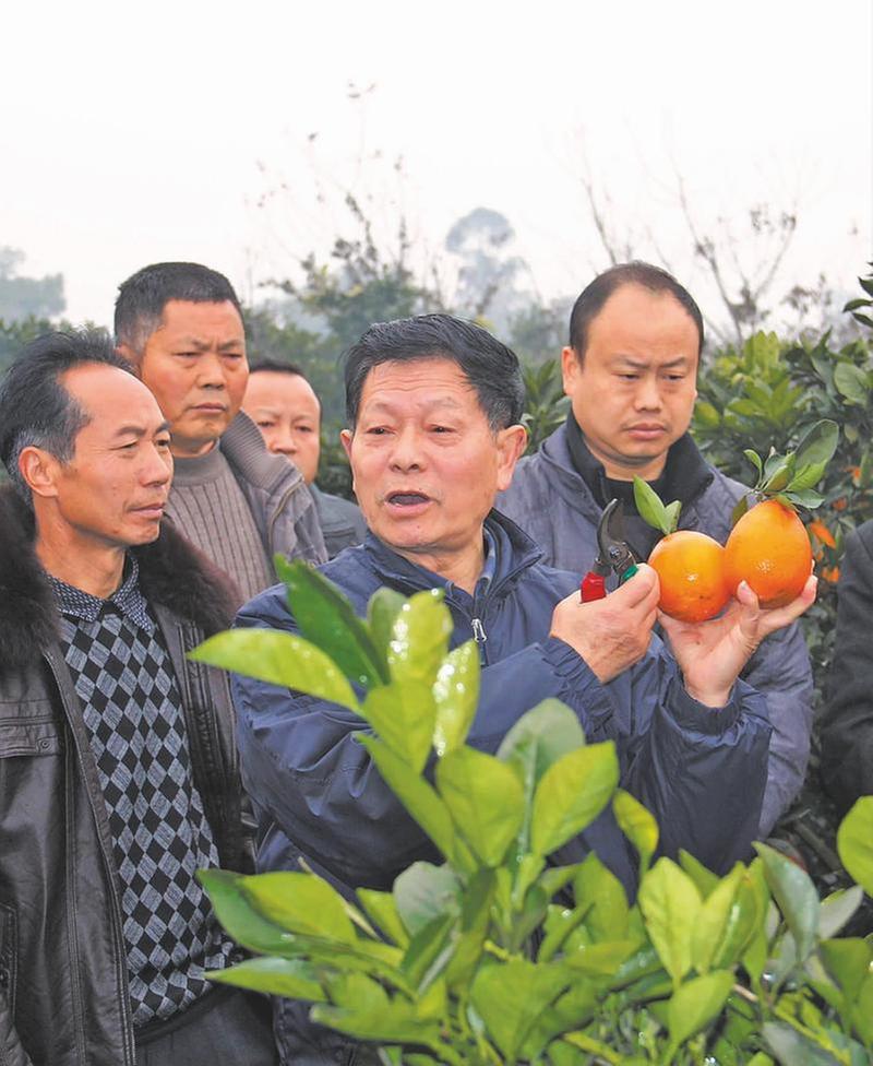 老骥伏枥不忘初心 凝智聚力奉献余热