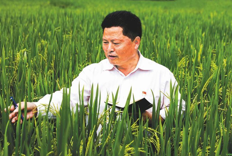 扎根泥土助“三农” 深爱笔墨记“春秋”