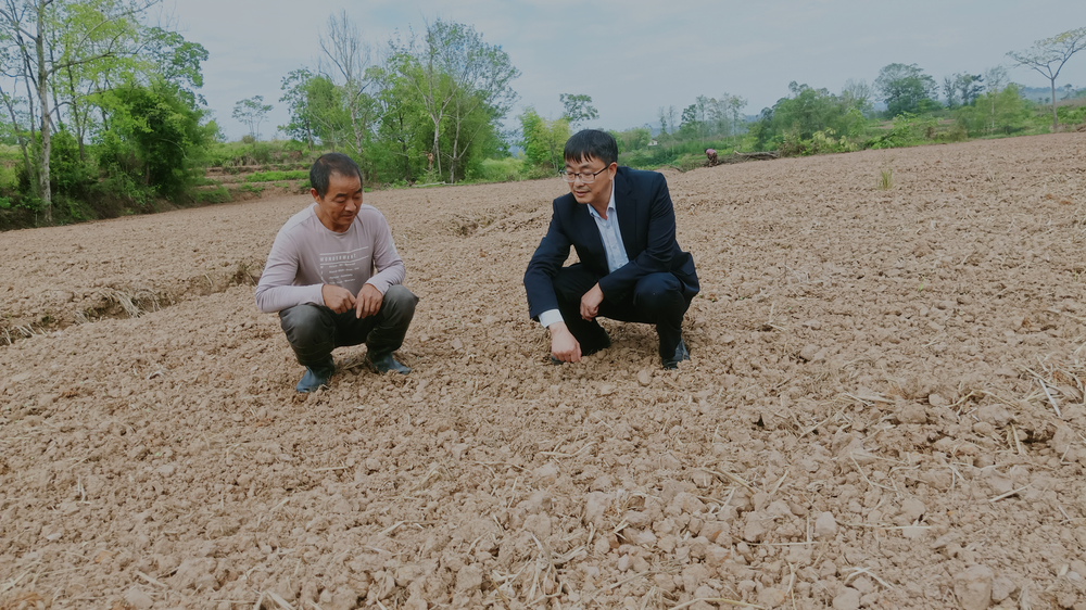 丰禾镇新型农民甘德春：“唤醒”撂荒地  打造致富新天地