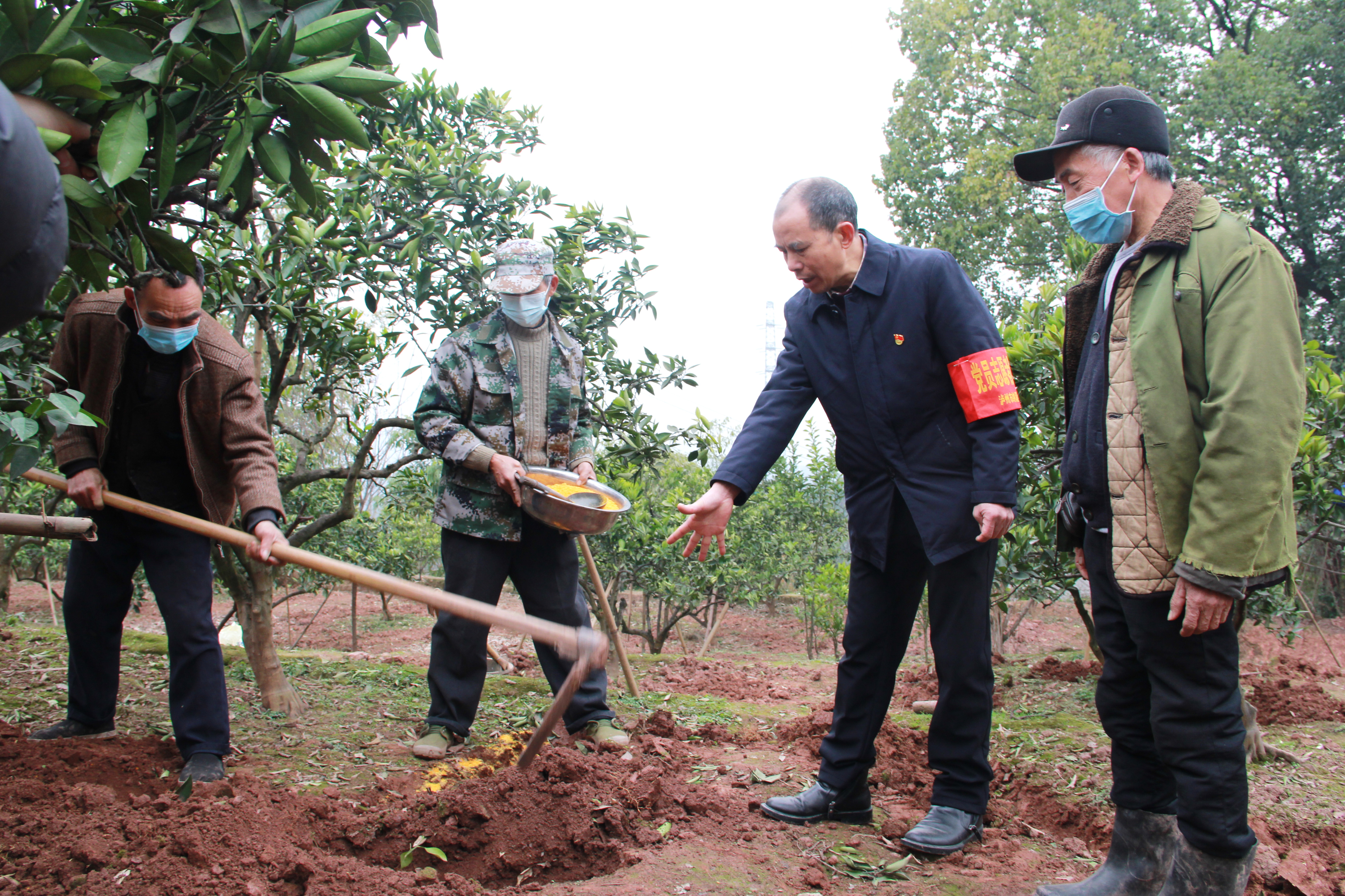 纳溪区：节后上班第一天  科技培训进田间