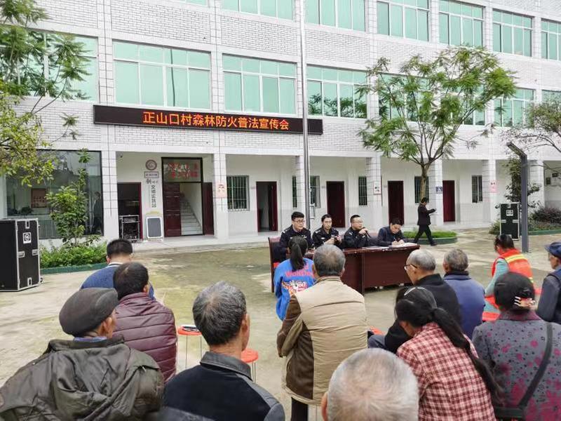 东坡区扎实开展春节森林防灭火宣传教育活动 