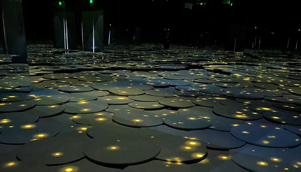 青神县：竹里萤光艺术馆开馆试运行