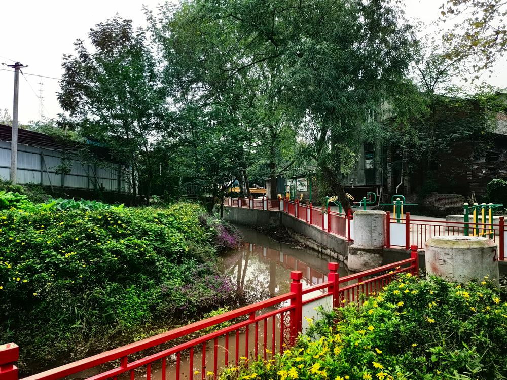 简阳市石桥街道杨柳社区：“三个强化”  做优做实河长制工作