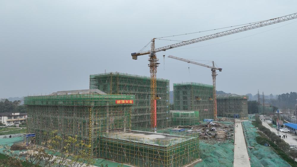 眉山市养老服务中心青神区域中心项目主体结构完工