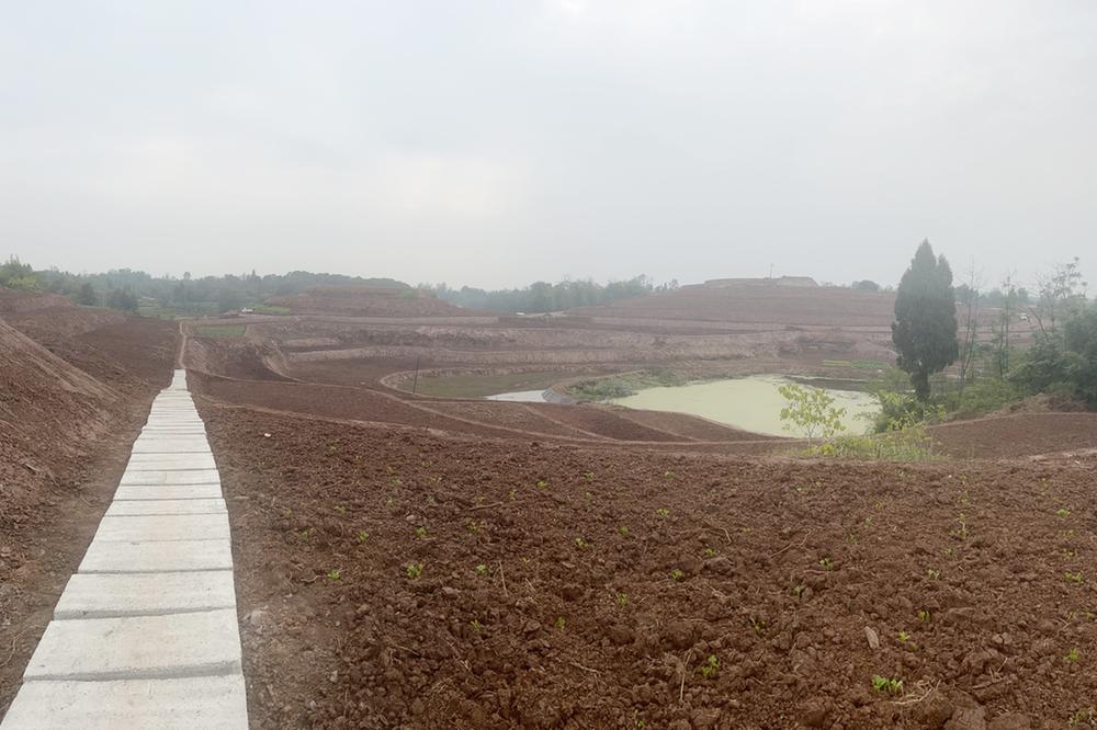 筑牢百姓粮仓 武胜县建设高标准农田