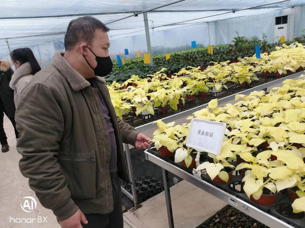 成都大学赴乐至县推广蚕桑、柠檬精深加工集成技术