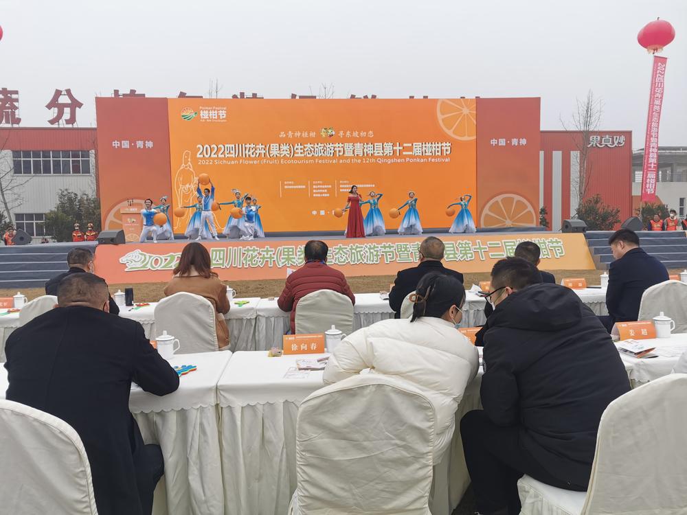 一“橘”成名！青神县举办第十二届椪柑节