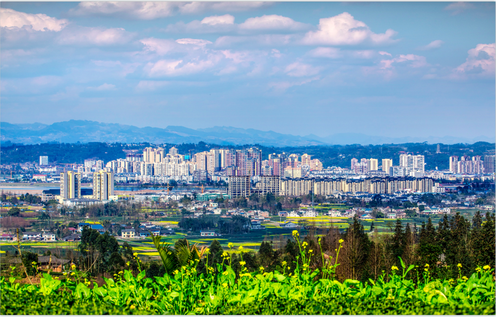 关注！洪雅2023年度民生实事票决项目具体有哪些内容？看过来