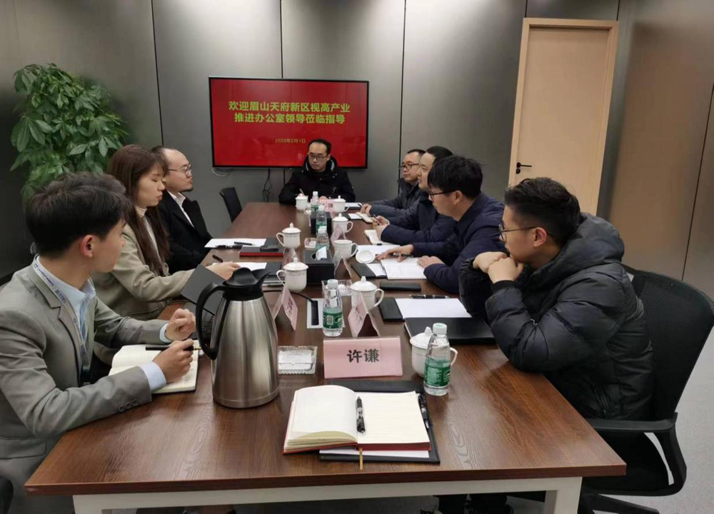 视高产业推进办积极推进数字经济和重大服务业项目落地达效