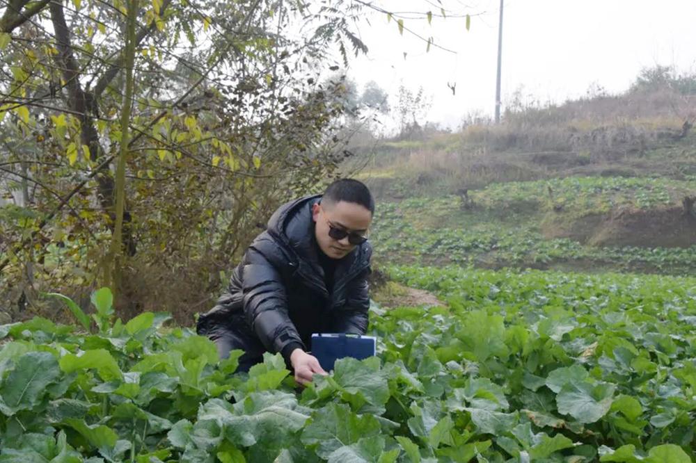 柯青华：乡村振兴路上的“警”色