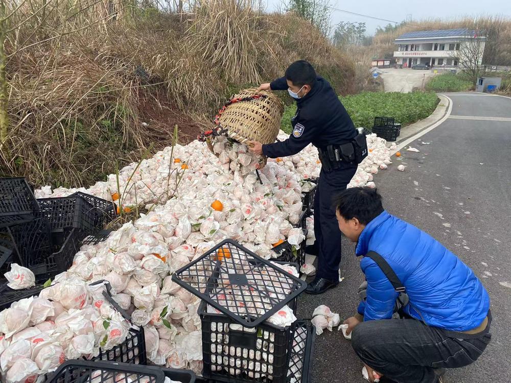 武胜县：货车侧翻大雅柑洒落一地，警民“接力”挽损失