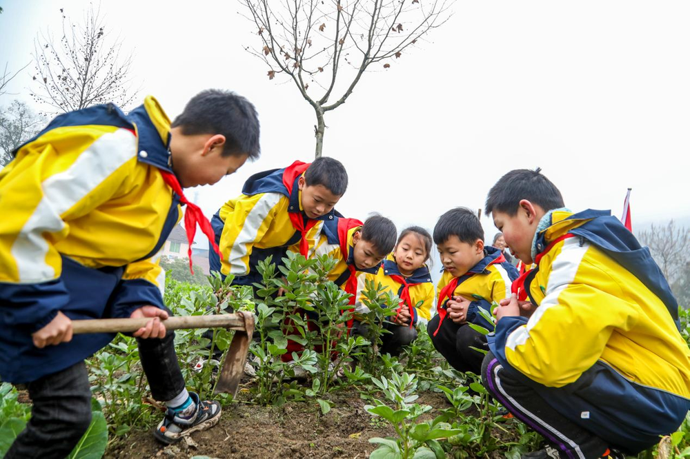 前锋小学：“开学第一课”搬到田间地头