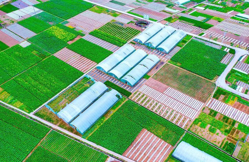 田畴沃野春意浓