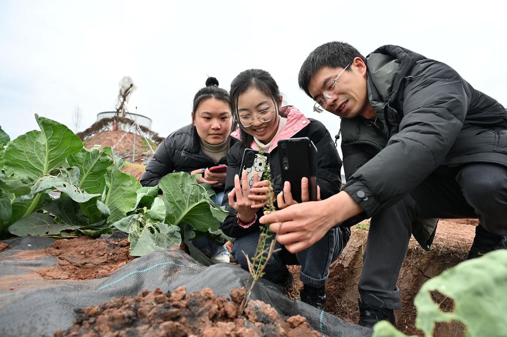 东兴区：“科技下乡”助春耕