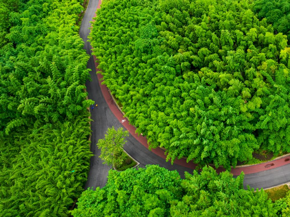 青神：打好“特色牌” 奏响“富民曲”