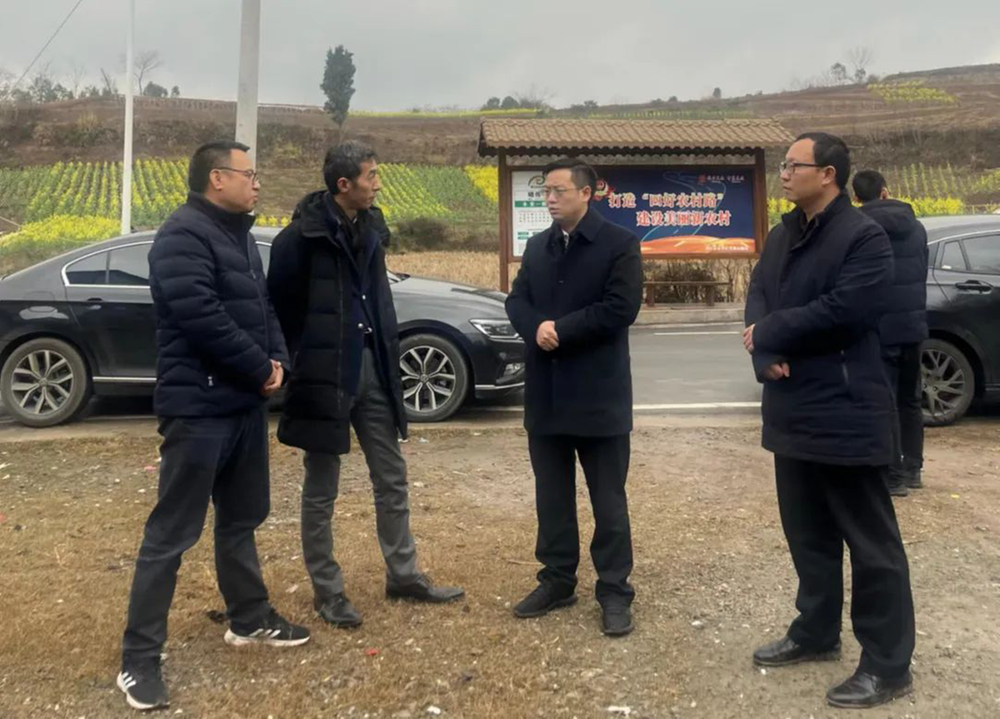 内江市市中区领导调研农村面貌改善工作