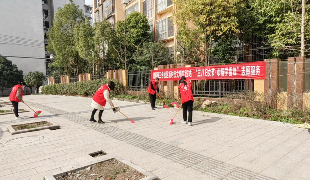 鼎屏镇开展“巾帼学雷锋·喜迎三八节”志愿服务活动