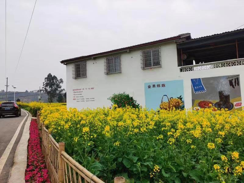 仁寿县：奋楫扬帆谱新篇 构建现代乡村治理新格局