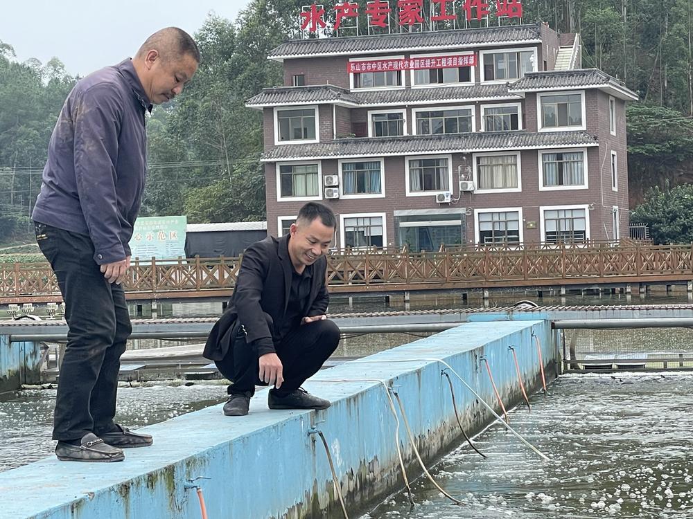 白马镇乡村绘就宜居宜业画卷