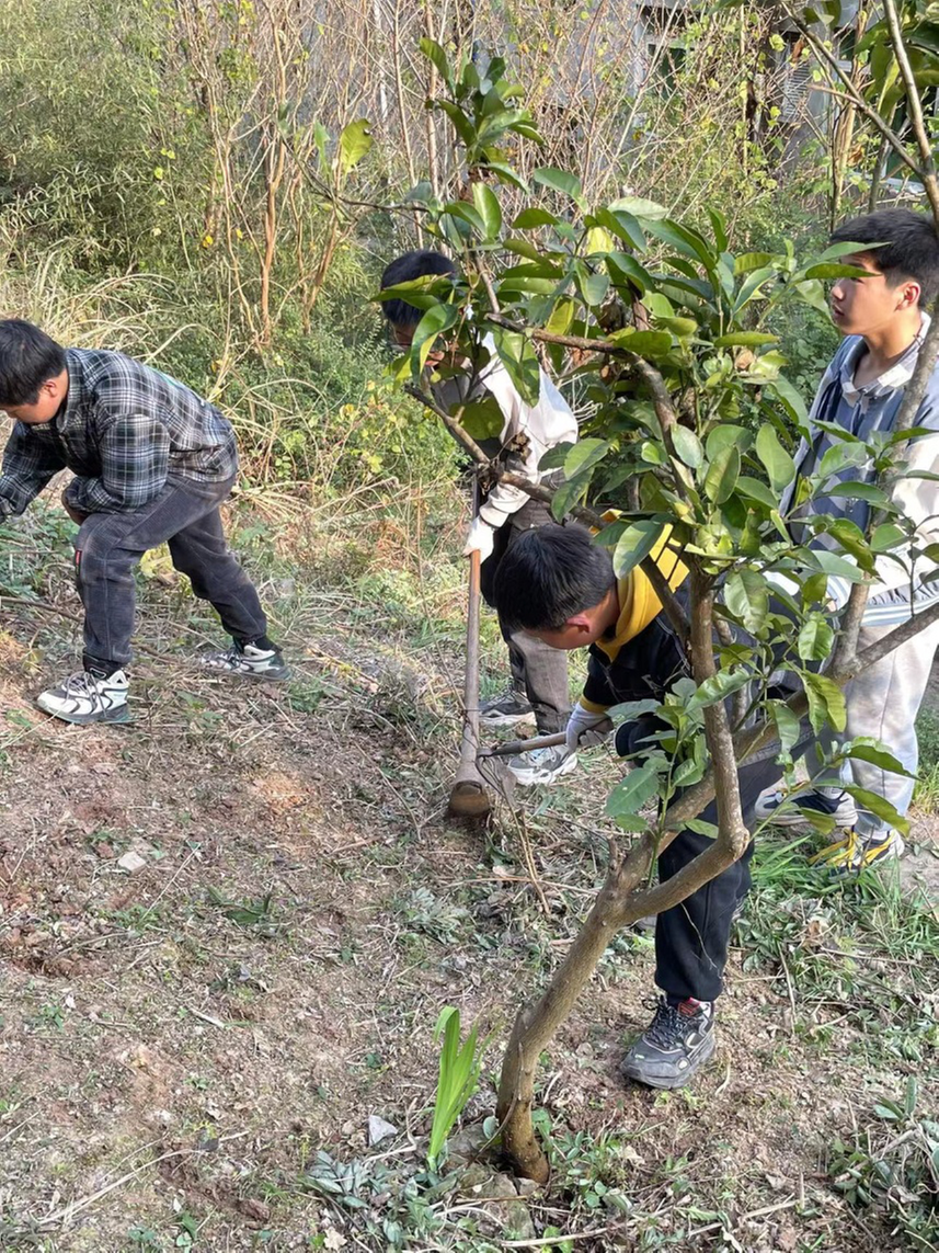 南江县沙河中学开展植树护绿活动