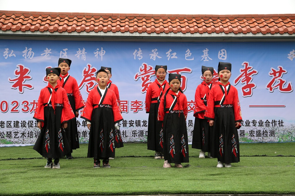 普安镇：村里自办李花节 美景乡愁醉游人