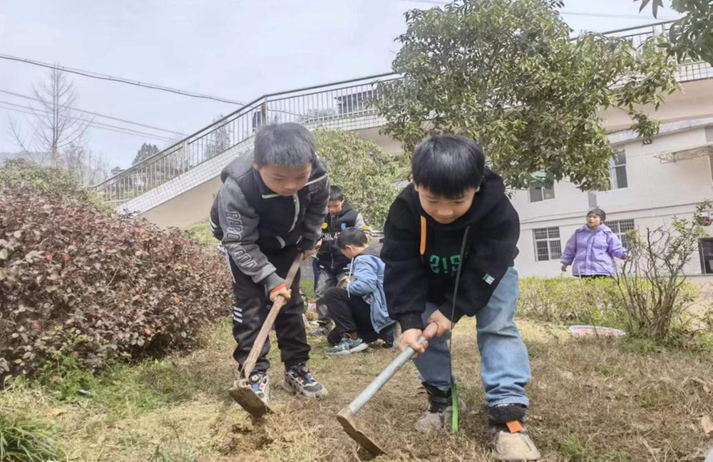 南江县坪河镇九义校开展“爱绿护绿”主题教育活动