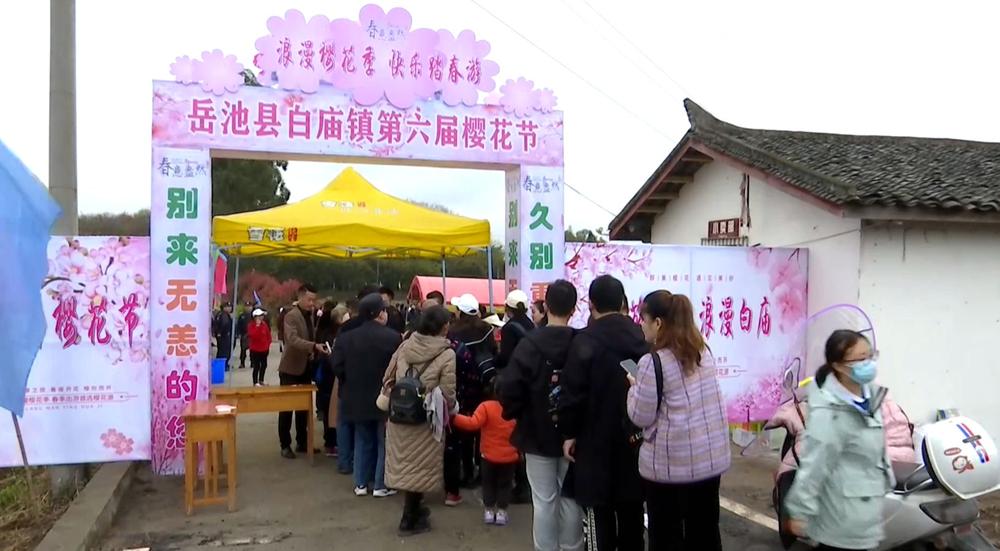 “浪漫樱花季快乐踏春游” 白庙镇第六届樱花节盛大开幕